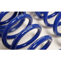 Polestar 2 - Heico Sportiv Sport Springs