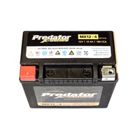 12V AUXILIARY SUPPORT BATTERY - FOR VOLVO SPA MODELS
