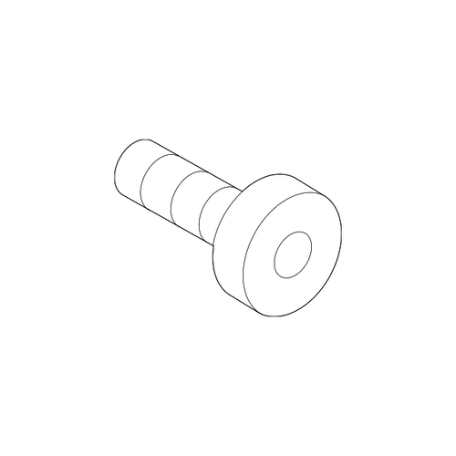 Disc Rotor Set Screw - T30